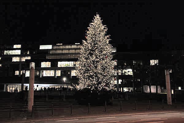 Uebergabe_Hoerbranzer_Weihnachtsbaum_an_Landhaus_Bregenz_2016-11-24_DSC02394.jpg